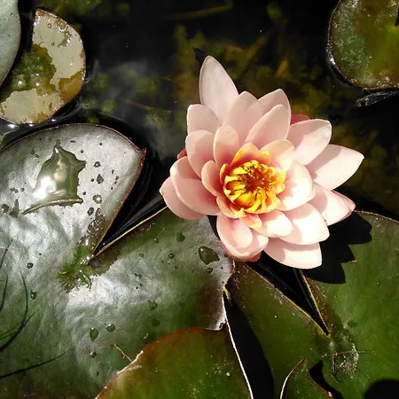 Haus Kartoner Gæstehus