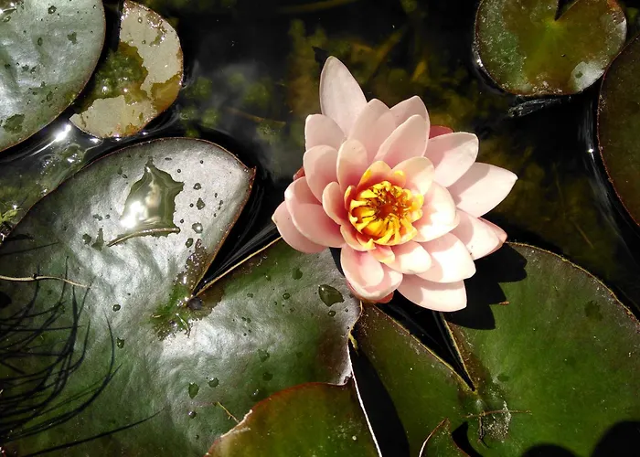 Haus Kartoner Penzion